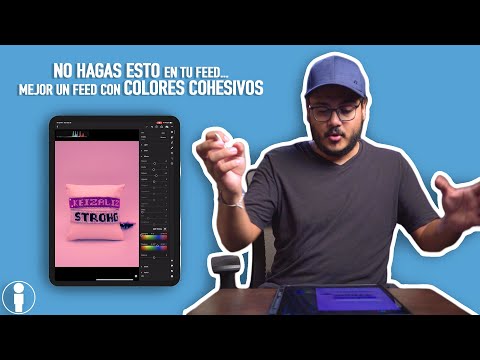 Cómo Logro Un Feed Con Colores Cohesivos en Instagram (2020)