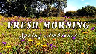 FRESH MORNING AMBIENCE  Healing SPRING Sounds to Boost your Energy Up  Flowery Meadow Meditation