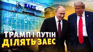ШОК, Запорізьку АЕС здають? Злили секретні переговори Трампа і Путіна. Ось як будуть ділити Україну