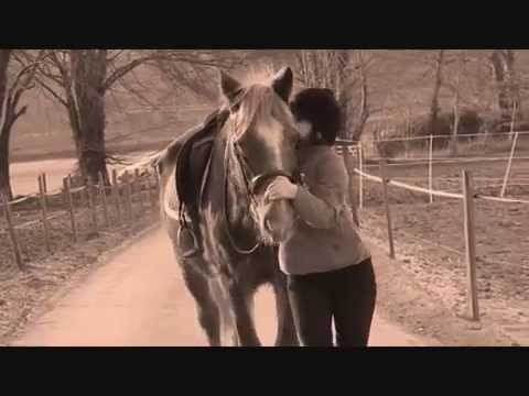 Horse Lady Xxxx Animal Video - A Girl And Her Horse x - YouTube