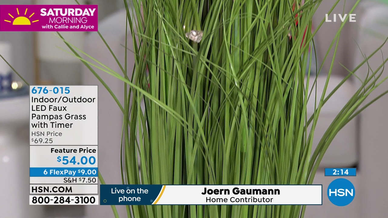 Indoor/Outdoor LEDIlluminated Faux Pampas Grass with Tim... YouTube