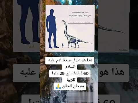 سبحان الخالق