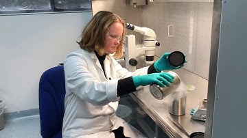 Celebrating 20 years of the Millennium Seed Bank Partnership