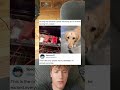 This Brave Dog Earned Every Single Bite Of This Reverse Seared Quality Beef Steak