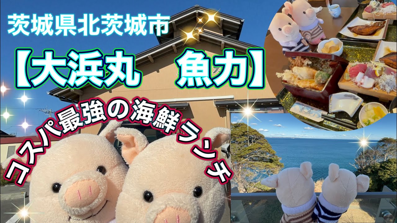 ＃48 コスパ最強海鮮ランチin茨城【大浜丸　魚力】超人気店
