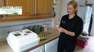 Hova bator incubator: Setting up your fertilised chicken eggs