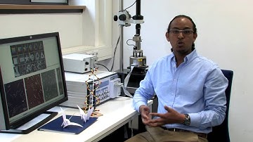 HZDR DocClip (ENG): Bezu Teschome – DNA Origami for Nanoelectronics and Plasmonics