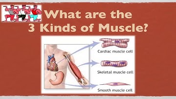 Cycle 3 Science Week 3