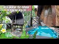 Villa murah dipuncak bogor II VILLA ARIES BIRU cuma 150 ribuan