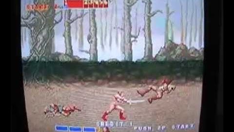 MAME / Arcade emulation via the GP2X