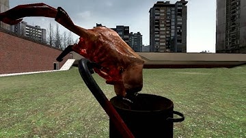 Some Random Gmod Clips