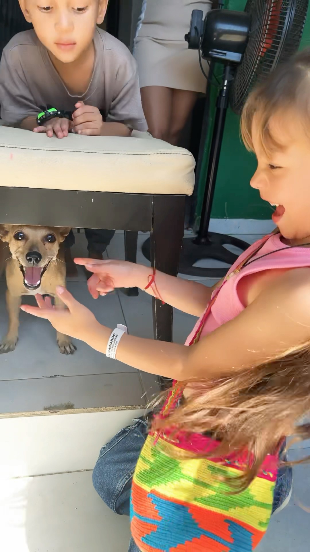 LA NUEVA MASCOTA #humor #cosasdefamilia #comedia #shortviral