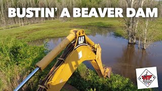 BUSTING A BEAVER DAM With The Backhoe