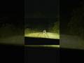 WE ENCOUNTER OUR FIRST SKIN WALKER ON ABANDONED ROAD #scary #paranormal #creepy #skinwalker