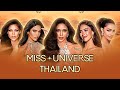 Les favoris de miss univers thalande 2024 dvoils