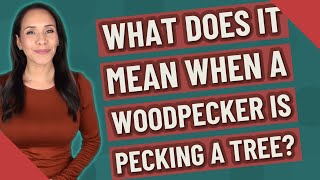 What does it mean when a woodpecker is pecking a tree?