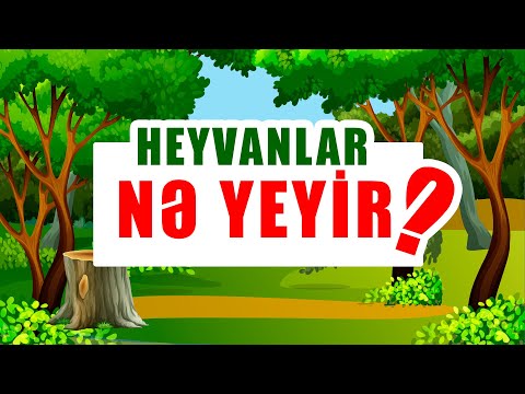 Video: Atlar nə yeyib-içir?