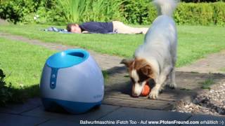 Ballwurfmaschine Ifetch Too - Heut Mach Ich Nichts, Denn Ich Hab Geburtstag -