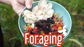 HOW TO MAKE A GOURMET MEAL FROM FORAGED FOOD!! (Trying not to poison myself)