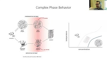 Using DAmFRET to map complex protein phase behavior in vivo