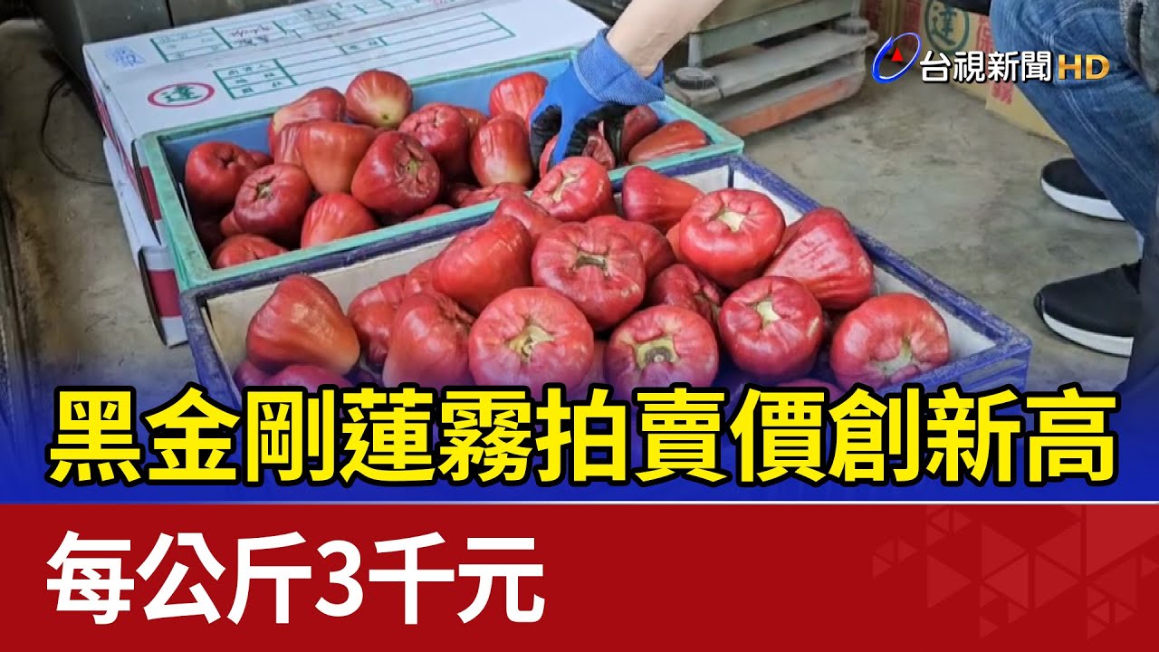 黑金剛蓮霧拍賣價創新高每公斤3千元- YouTube