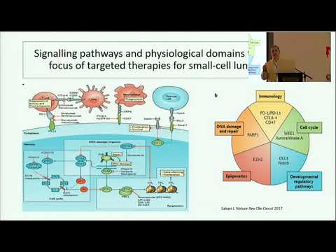 Vídeo: Cáncer De Pulmón No Microcítico Versus Cáncer De Pulmón Microcítico