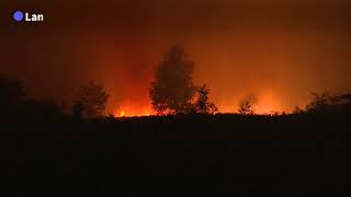 France: fires ravage 200 hectares of forest near Bordeaux | AFP
