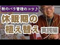【バラの育て方】秋のバラ管理のコツ♪休眠期の植え替え実践編（2022年11月18日）