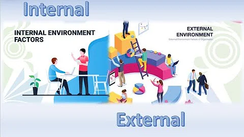 (HR)Management Basics - Internal vs External Environment