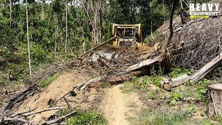 Caterpillar D6R XL bulldozer operators is very good at working to smooth plantation roads