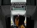 IT'S TOO LATE FOR MOST OF US, DRIVER! THERE'S NO WAY OUT OF TRUCKING!