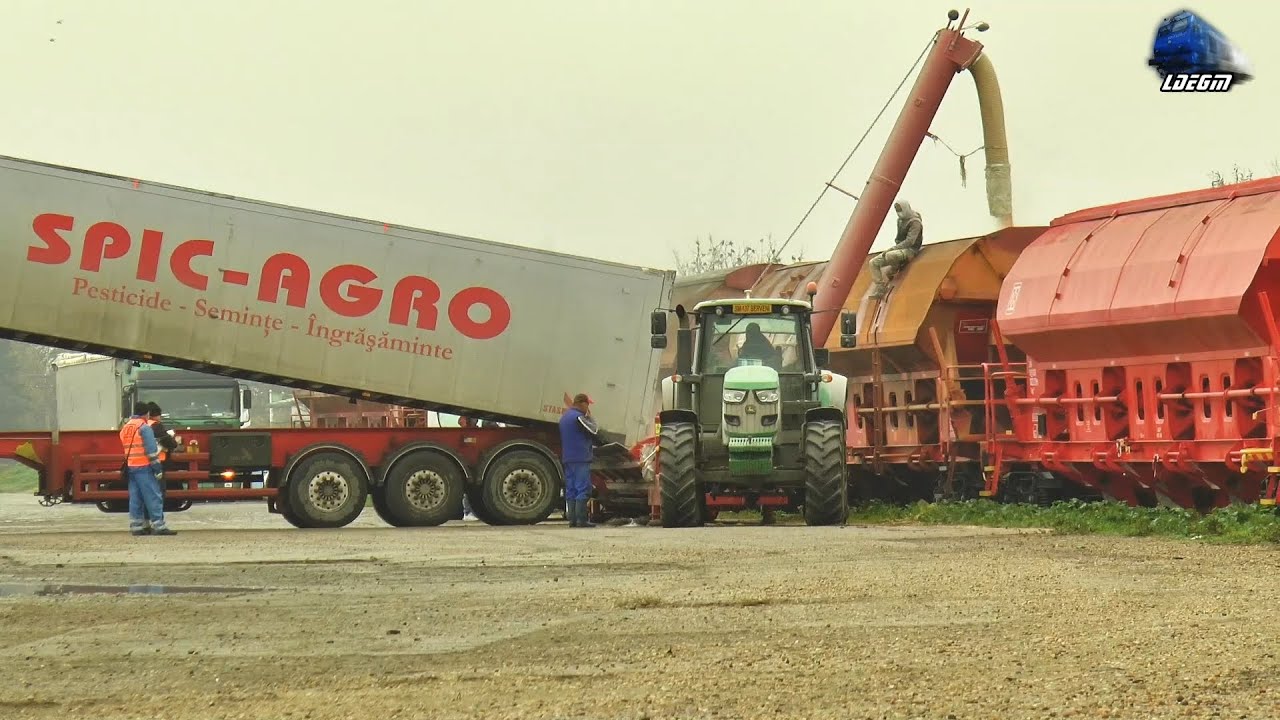 Trenuri de Cereale la Încărcat/Loading Cereals Trains in Gara Carei Station - 03 November 2020
