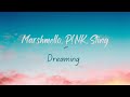 Marshmello, P!NK, Sting - Dreaming