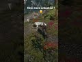 When the crossbow decides to turn into a Aard bow 😅… #witcher3 #gaming #shorts #thewitcher3
