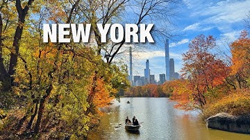 New York City LIVE Manhattan Central Park Peak Fall Foliage 2025 (November 7, 2025)