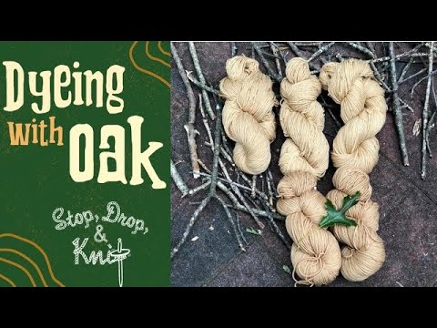 Dyeing with Oak Leaves to Make Natural Brown Fabric Dye - T A L Ú