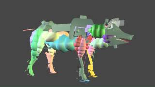 making of  pig - Rigg test