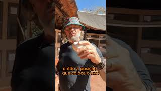 OVOS DE CROCODILO!!