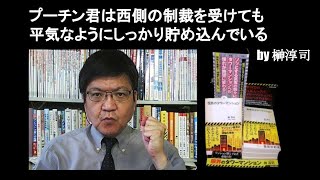 プーチン君は西側の制裁を受けても平気なようにしっかり貯め込んでいる　by 榊淳司
