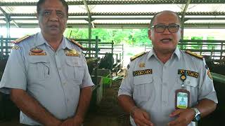 Menengok lebih dekat Instalasi Karantina Hewan BKP Kelas I Kupang