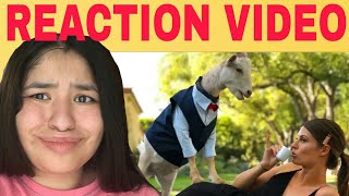 Information Hannah Stocking Is This Real Life REACTION! Guide