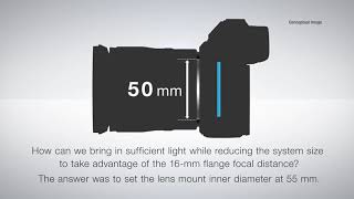 Z mount system in animation