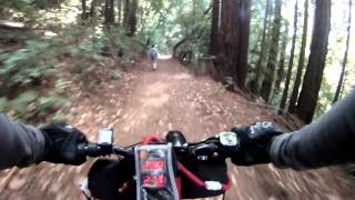 S-25 Electric Mountain Bike ride in Henry Cowell Redwoods Park Felton CA