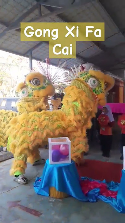 GONG XI FA CAI | LION DANCE #shorts #cny #liondance