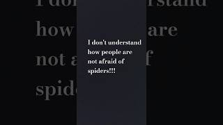 konnichiwaaspiderjapanfunnyhilarious