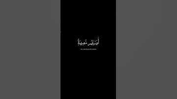 #القارئ عبدالباسط عبدالصمد