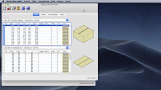 Ejemplo de Quick Pallet Maker 47 -  Pegar datos de cajas y paletas