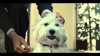 Cesar - Love Them Back (Advert Jury)