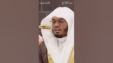 تلاوة الشيخ ياسر الدوسري - صلاة العشاء 29جمادى الأولى 1446- سورة المعارج #اكسبلور #تلاوات_نضيدة#لايك