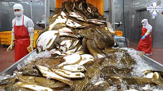 Amazing! Separate a fish in 15 seconds, mass produce Korean sashimi / Korean food factory